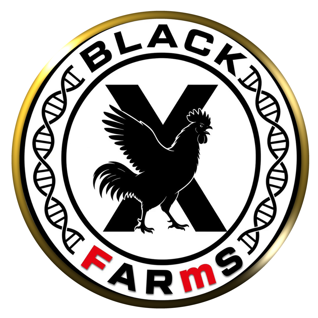 Black X Farms