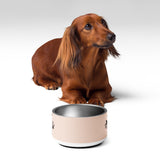 Personalized Paw Print Dog Bowl, White, 18 oz, front view