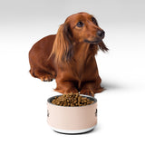 Personalized Paw Print Dog Bowl, White, 18 oz, front view